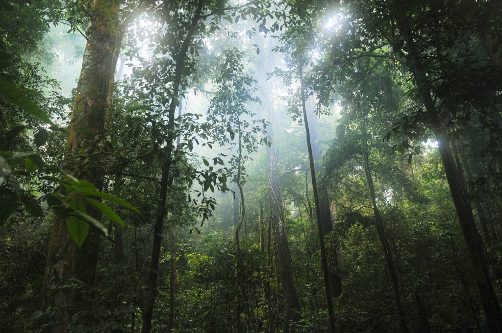 Tips From The Experts Spreading The Truth About Kalu Yala - Erik Pitoniak's World Travels